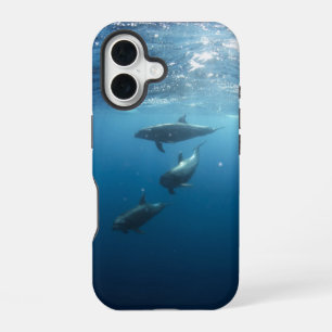 Coque iPhone 16 Dolphin Family