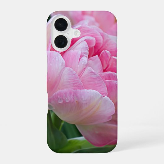 Coque iPhone 16 Double Tulipes Fleur avec Dew Drops (Verso)