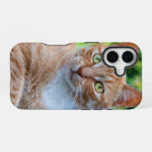 Coque iPhone 16 Douce petite chatte (Verso Horizontal)