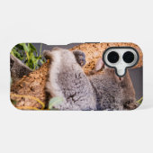Coque iPhone 16 Douce petite koala (Verso Horizontal)