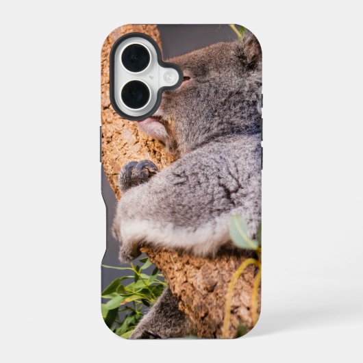 Coque iPhone 16 Douce petite koala (Verso)
