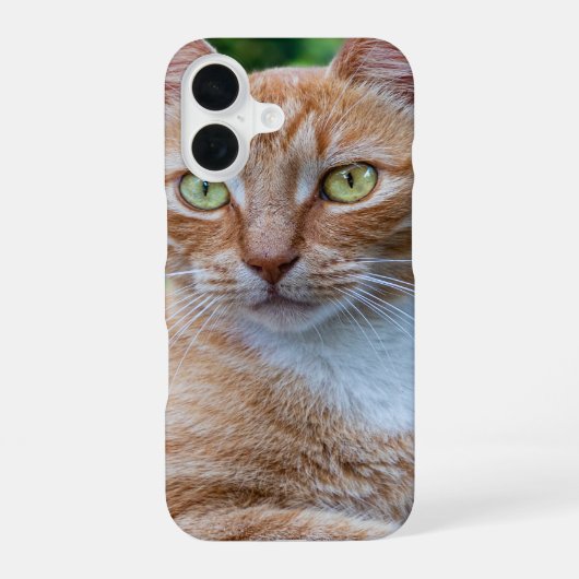 Coque iPhone 16 Douce petite minette (Verso)