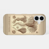 Coque iPhone 16 Ernst Haeckel Crinoids - Page complète (Verso Horizontal)