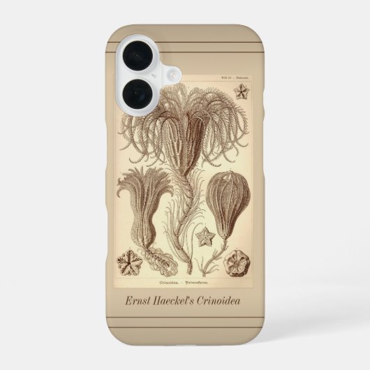 Coque iPhone 16 Ernst Haeckel Crinoids - Page complète (Verso)