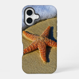 Coque iPhone 16 Étoile de mer solitaire sur la plage