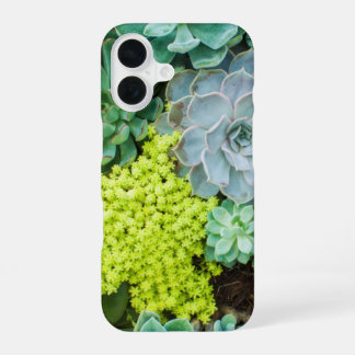 Coque iPhone 16 Étui de téléphone