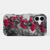 Coque iPhone 16 Étui de téléphone à Baies de Pyracantha (Verso Horizontal)