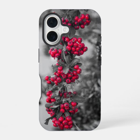 Coque iPhone 16 Étui de téléphone à Baies de Pyracantha (Verso)