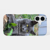 Coque iPhone 16 étui de téléphone pour chat (Verso Horizontal)