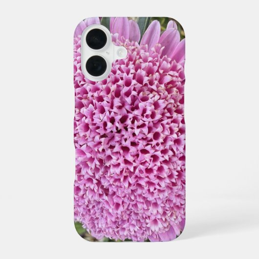 Coque iPhone 16 Étui iPhone 16 Aster Floral Rose (Verso)