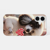 Coque iPhone 16 Étui iPhone Caniche Affectueux (Verso Horizontal)