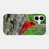 Coque iPhone 16 Étui iPhone Cardinal Rouge (Verso Horizontal)
