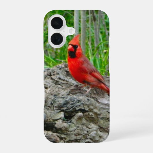 Coque iPhone 16 Étui iPhone Cardinal Rouge (Verso)