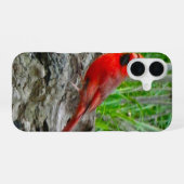 Coque iPhone 16 Étui iPhone Cardinal Rouge (Ohio) (Verso Horizontal)