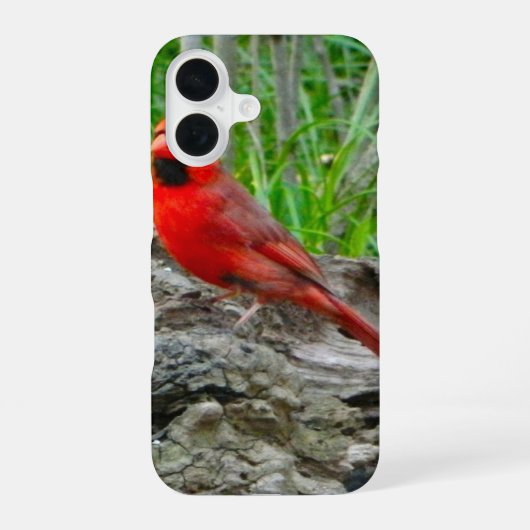 Coque iPhone 16 Étui iPhone Cardinal Rouge (Ohio) (Verso)