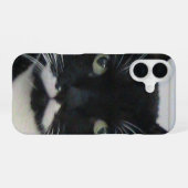 Coque iPhone 16 Étui iPhone Chat Tuxedo (Verso Horizontal)