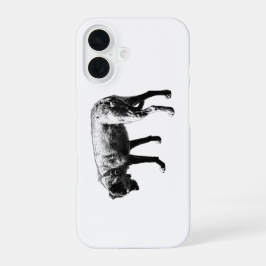 Coque iPhone 16 Étui iPhone mélange Terrier explorateur (Verso)