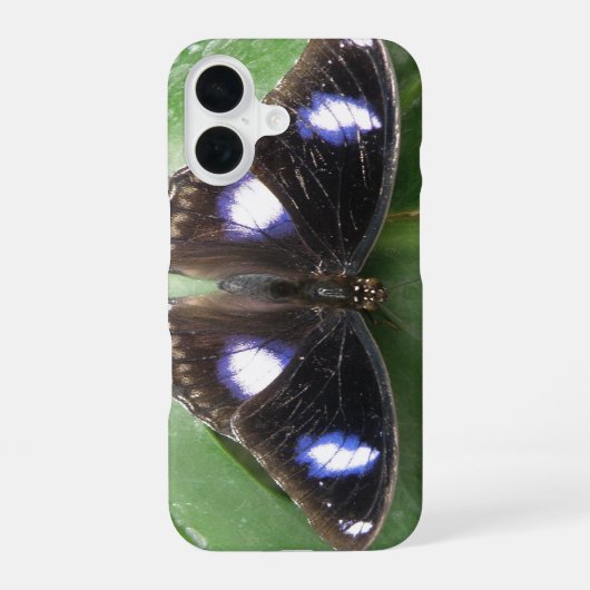 Coque iPhone 16 Étui pour iPad Papillon Tacheté Bleu Beau (Verso)