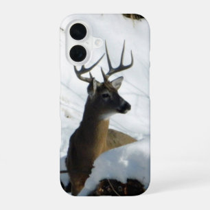 Coque iPhone 16 Étui pour iPhone Big Buck
