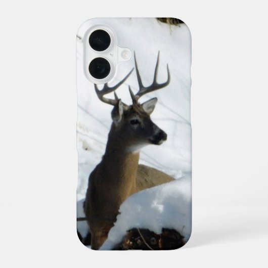 Coque iPhone 16 Étui pour iPhone Big Buck (Verso)