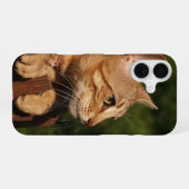 Coque iPhone 16 Étui pour iPhone Savannah Cat (Verso Horizontal)