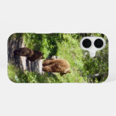 Coque iPhone 16 Famille d'ours brun (Verso Horizontal)