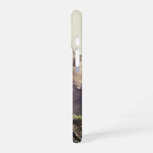 Coque iPhone 16 Fantasy landscape (Côté gauche)