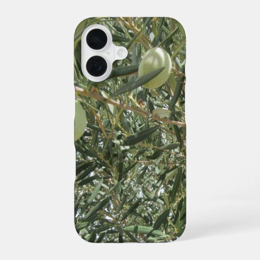 Coque iPhone 16 Feuilles d'olivier (Verso)