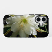 Coque iPhone 16 Fleur de cactus (Verso Horizontal)