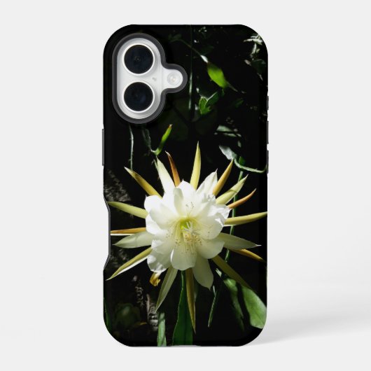 Coque iPhone 16 Fleur de cactus (Verso)