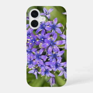Coque iPhone 16 Fleurs de Squill Portugais Closeup Nature Photo