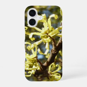 Coque iPhone 16 Fleurs d'Hamamélis