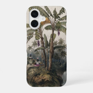 Coque iPhone 16 Forêt de bananiers tropicaux antiques   Bota vinta