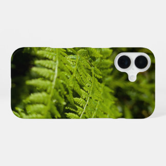 Coque iPhone 16 fouine