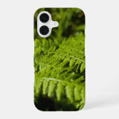 Coque iPhone 16 fouine (Verso)