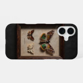 Coque iPhone 16 Framed Moth Specimen Dark Academia Case (Verso Horizontal)
