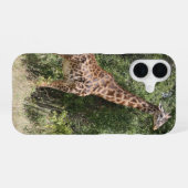 Coque iPhone 16 girafe (Verso Horizontal)