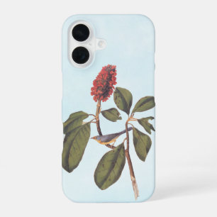 Coque iPhone 16 Gobemouche de Bonaparte Paruline du Canada Oiseau
