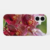 Coque iPhone 16 Grappe d'orchidées Vanda tropicales (Verso Horizontal)