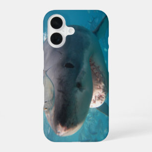 Coque iPhone 16 Great White Shark Smile Teeth Portrait Australie