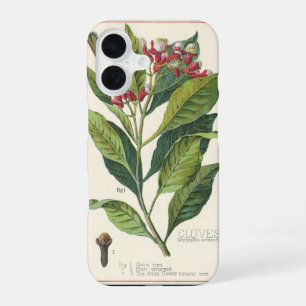 Coque iPhone 16 Herbes Épices Alimentaires Vintage, Clou de Girofl