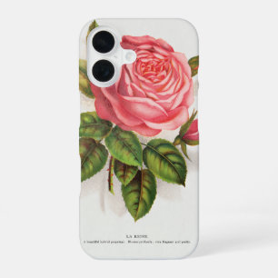 Coque iPhone 16 Illustration Florale Rose Rose Antique Cottagecore