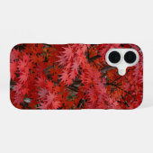 Coque iPhone 16 Japanese Maple Red Fall Phone Case (Verso Horizontal)