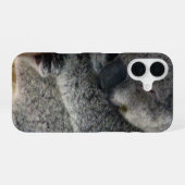 Coque iPhone 16 koala (Verso Horizontal)