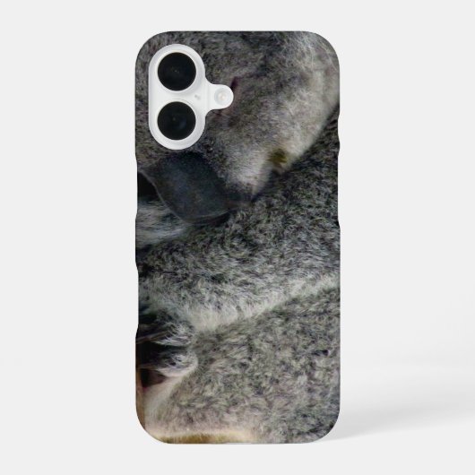 Coque iPhone 16 koala (Verso)