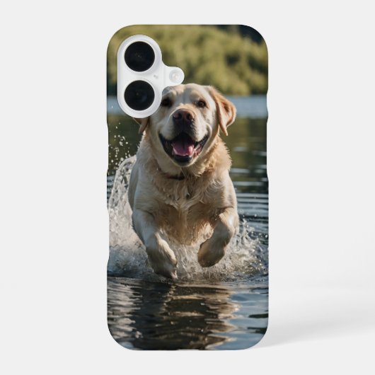 Coque iPhone 16 Labrador Splash (Verso)