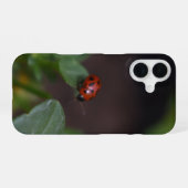 Coque iPhone 16 Ladybug (Verso Horizontal)