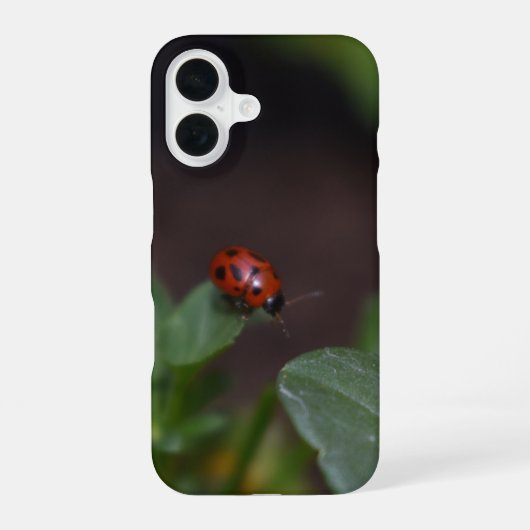 Coque iPhone 16 Ladybug (Verso)