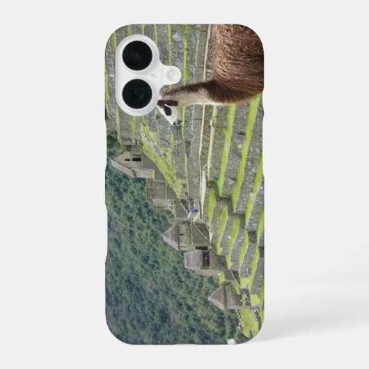 Coque iPhone 16 lama (Verso)