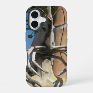 Coque iPhone 16 M. Crustacé alias Tête de Homard... Enfer bouddhis